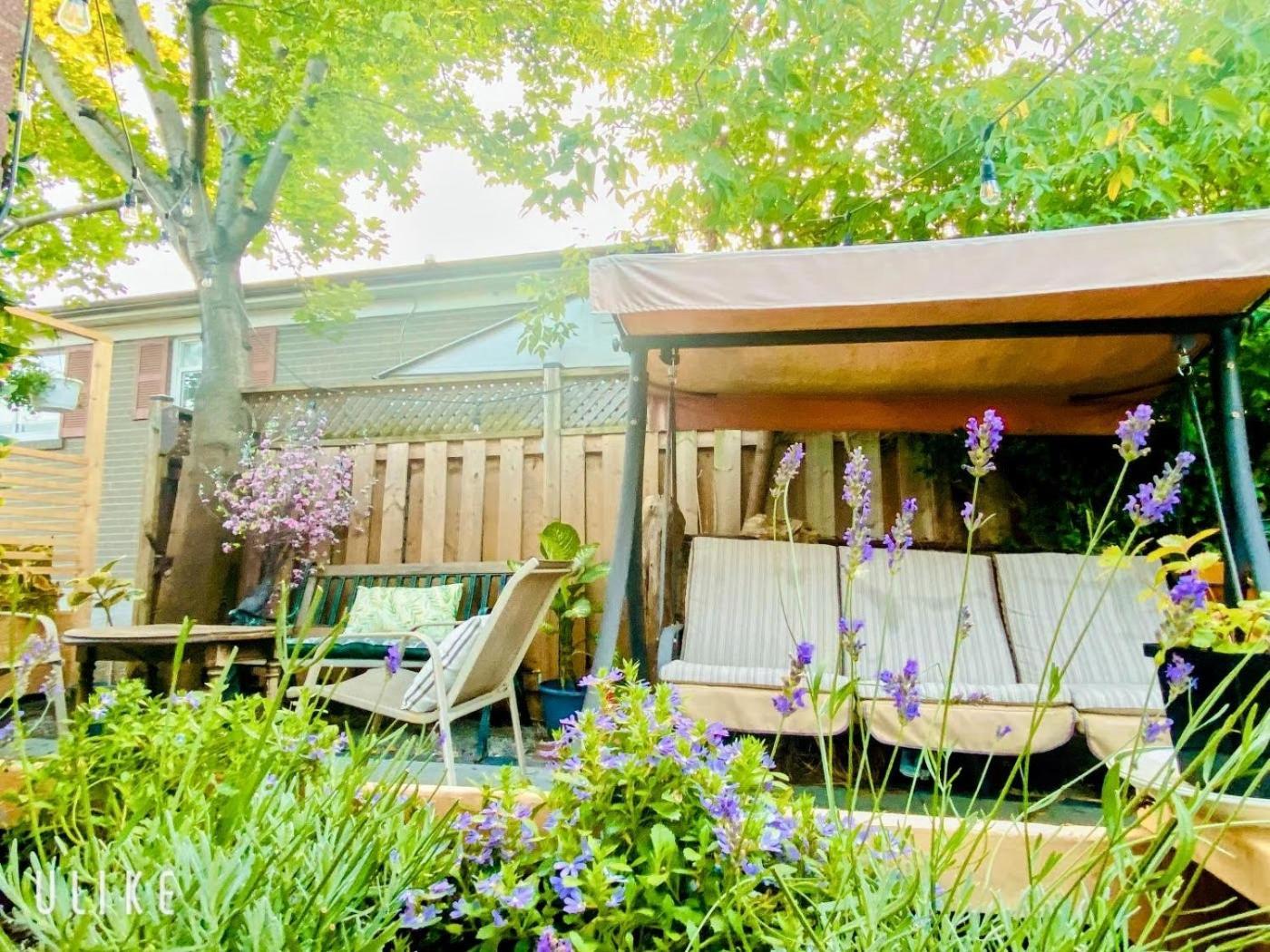 Toronto Bed & Breakfast - Free Parking Eksteriør billede
