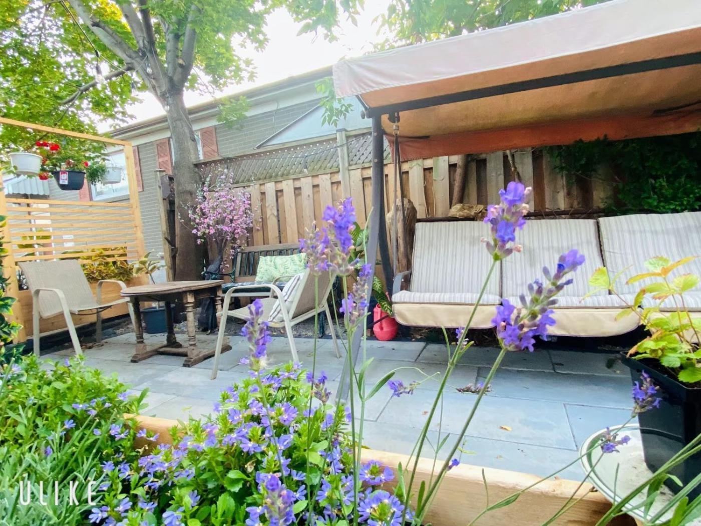 Toronto Bed & Breakfast - Free Parking Eksteriør billede