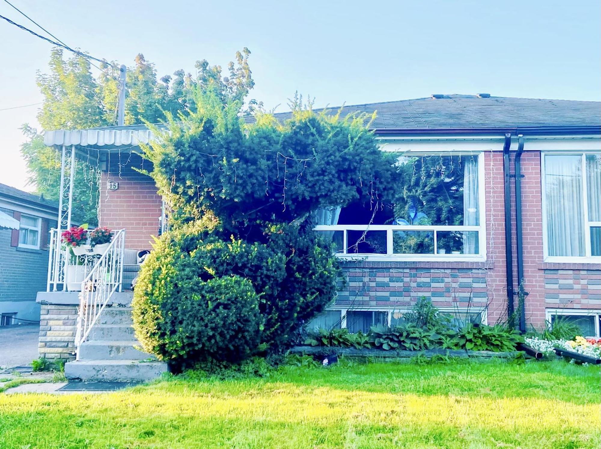 Toronto Bed & Breakfast - Free Parking Eksteriør billede